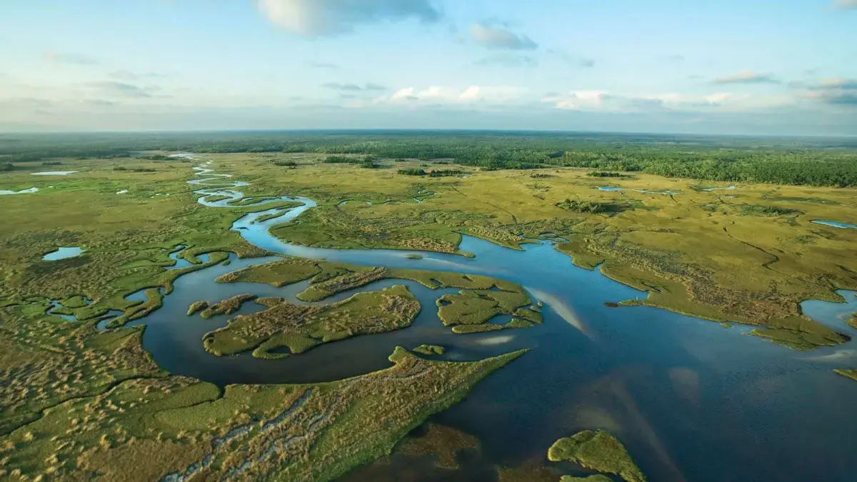 MondoBelloTurismo-Everglades