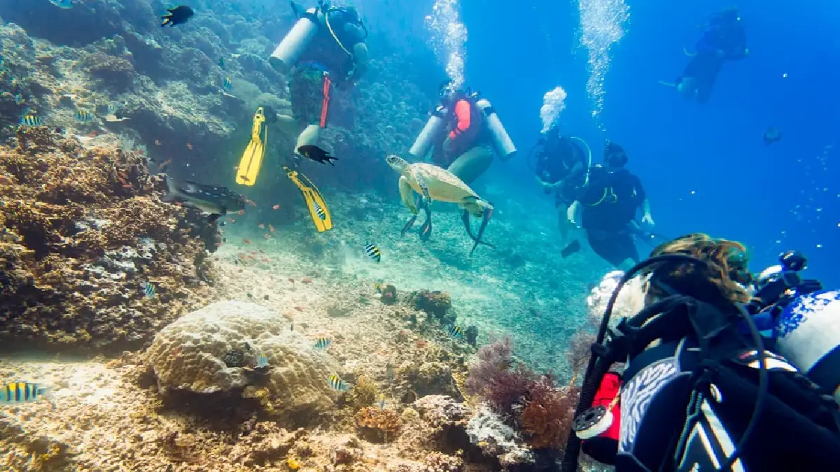 MondoBelloTurismo-MergulhoSnorkelMaragogi