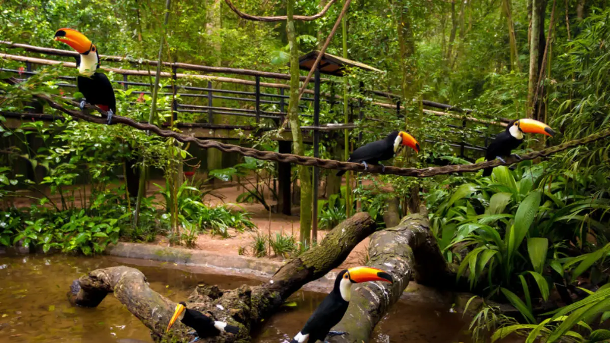 MondoBelloTurismo-ParqueDasAves
