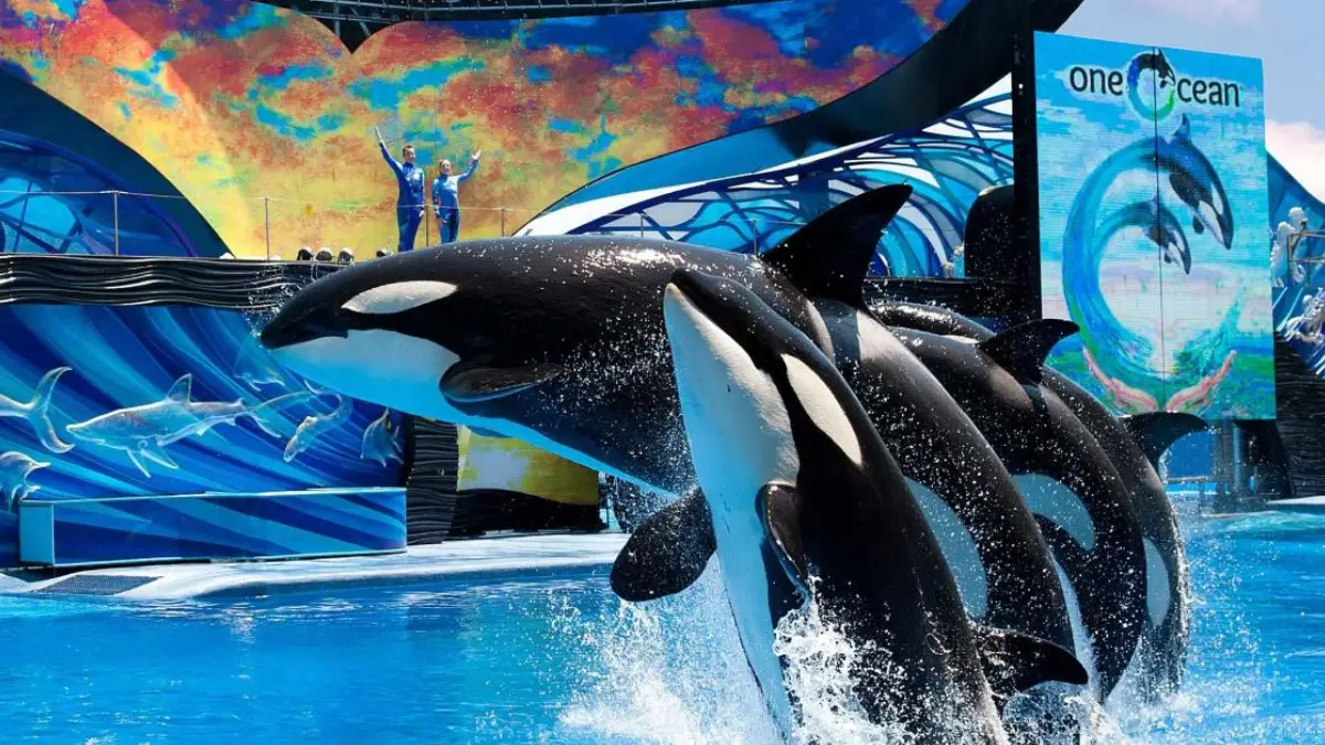 MondoBelloTurismo-SeaWorldOrlando